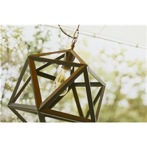 アイアン Polyhedron ペンダントライト(エジソン電球付き)